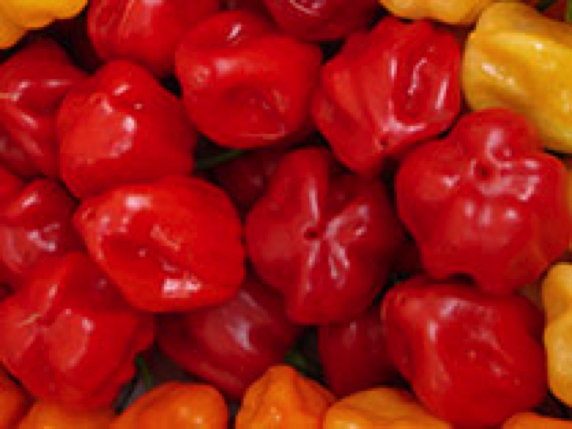 Habanero Red